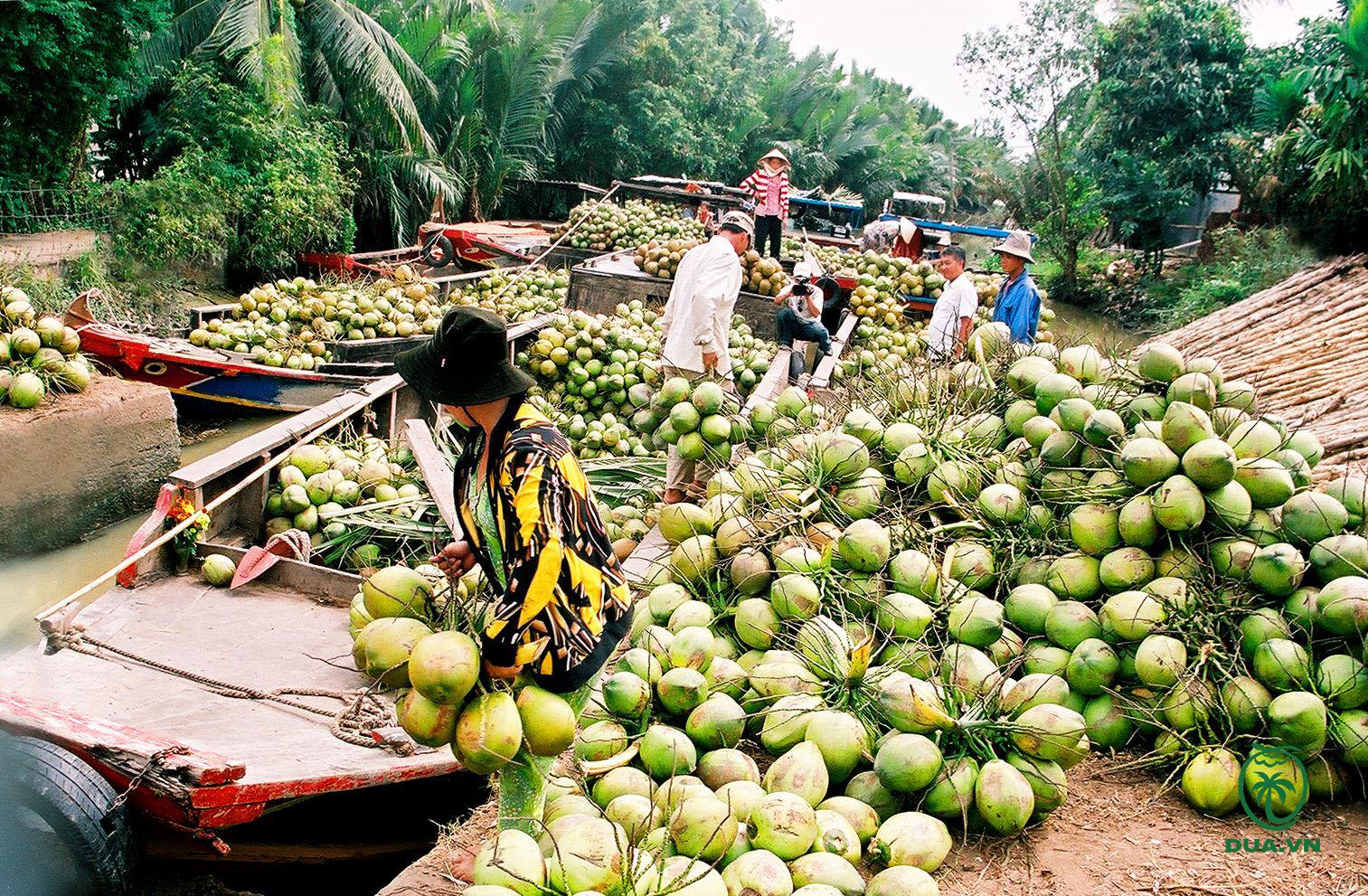 Seize the cultural essence of Vietnam’s Mekong life